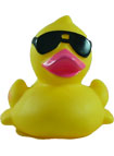 Cool Duck